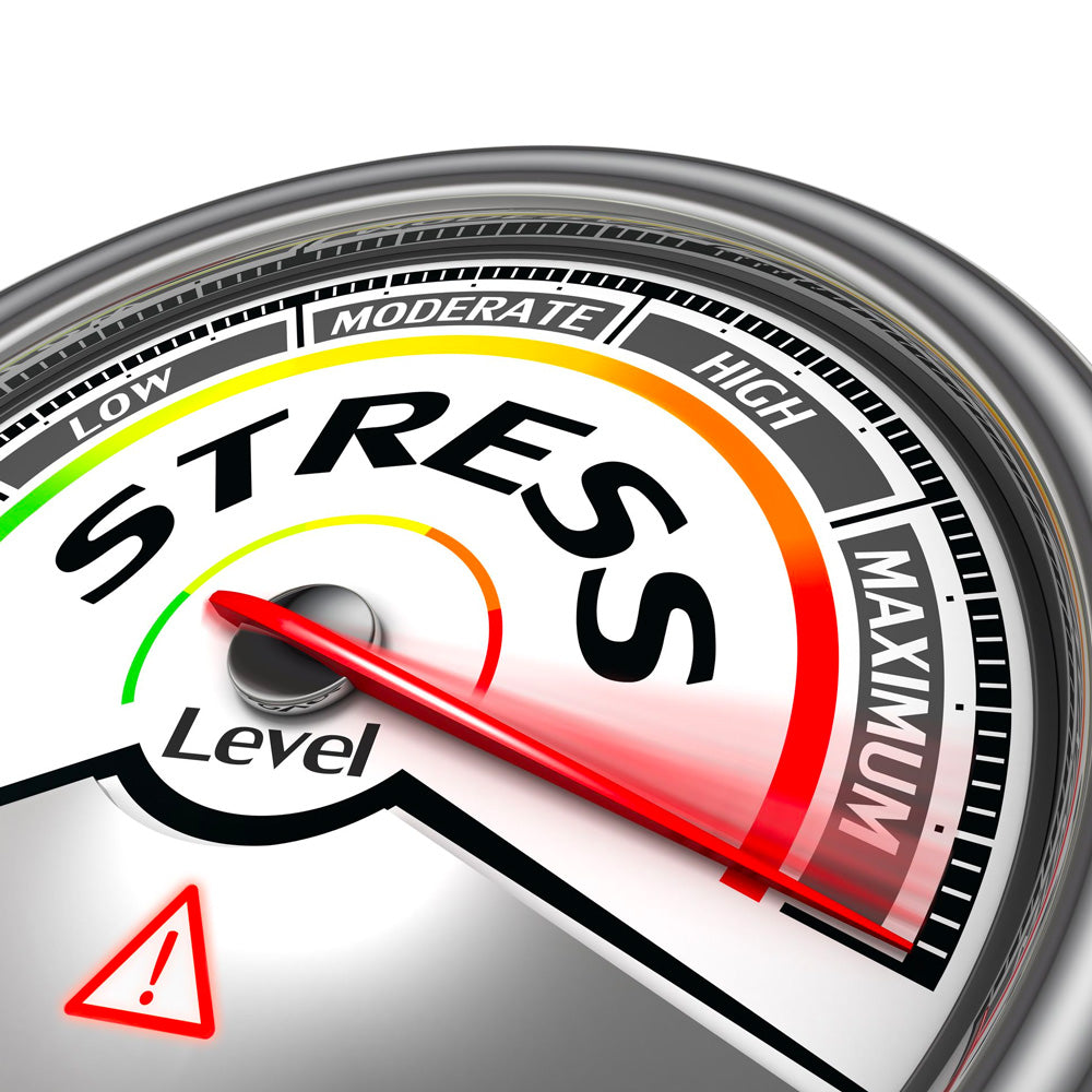 Stress Management