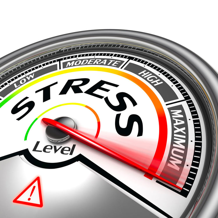 Stress Management