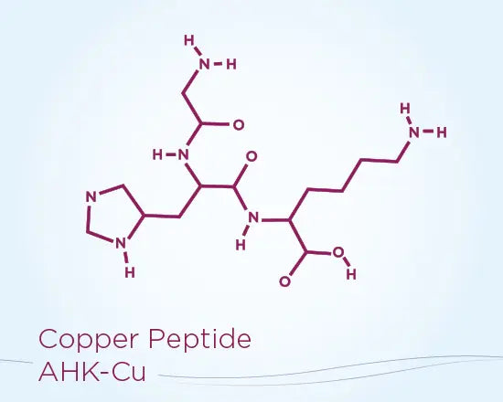 X39 & X49 Performance Bundle