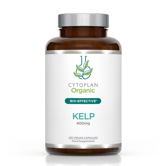 Organic Kelp