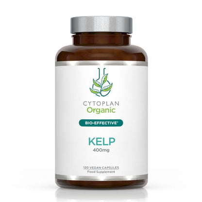 Organic Kelp
